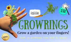 Growring 3 Carrots 🥕