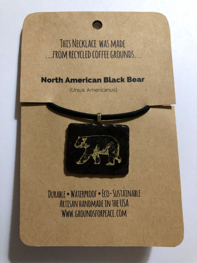 CGN Black Bear