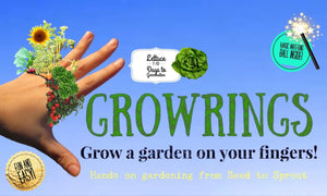 Growring Lettuce 🥗